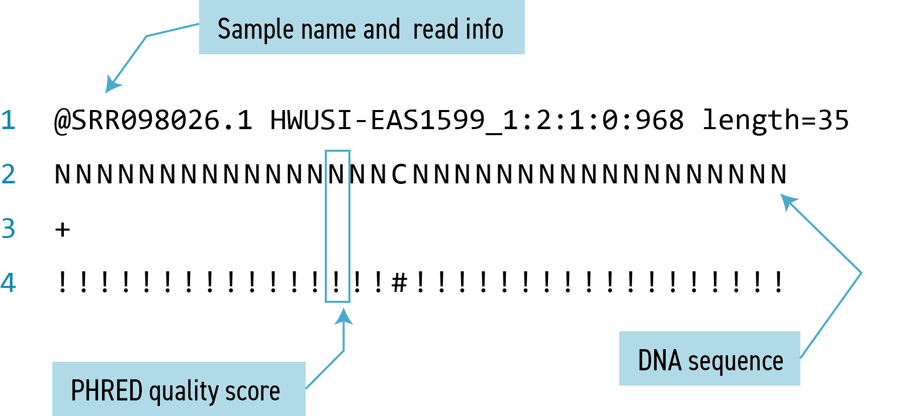 A diagram showing that each read in a FASTQ file comprises 4 lines of information.